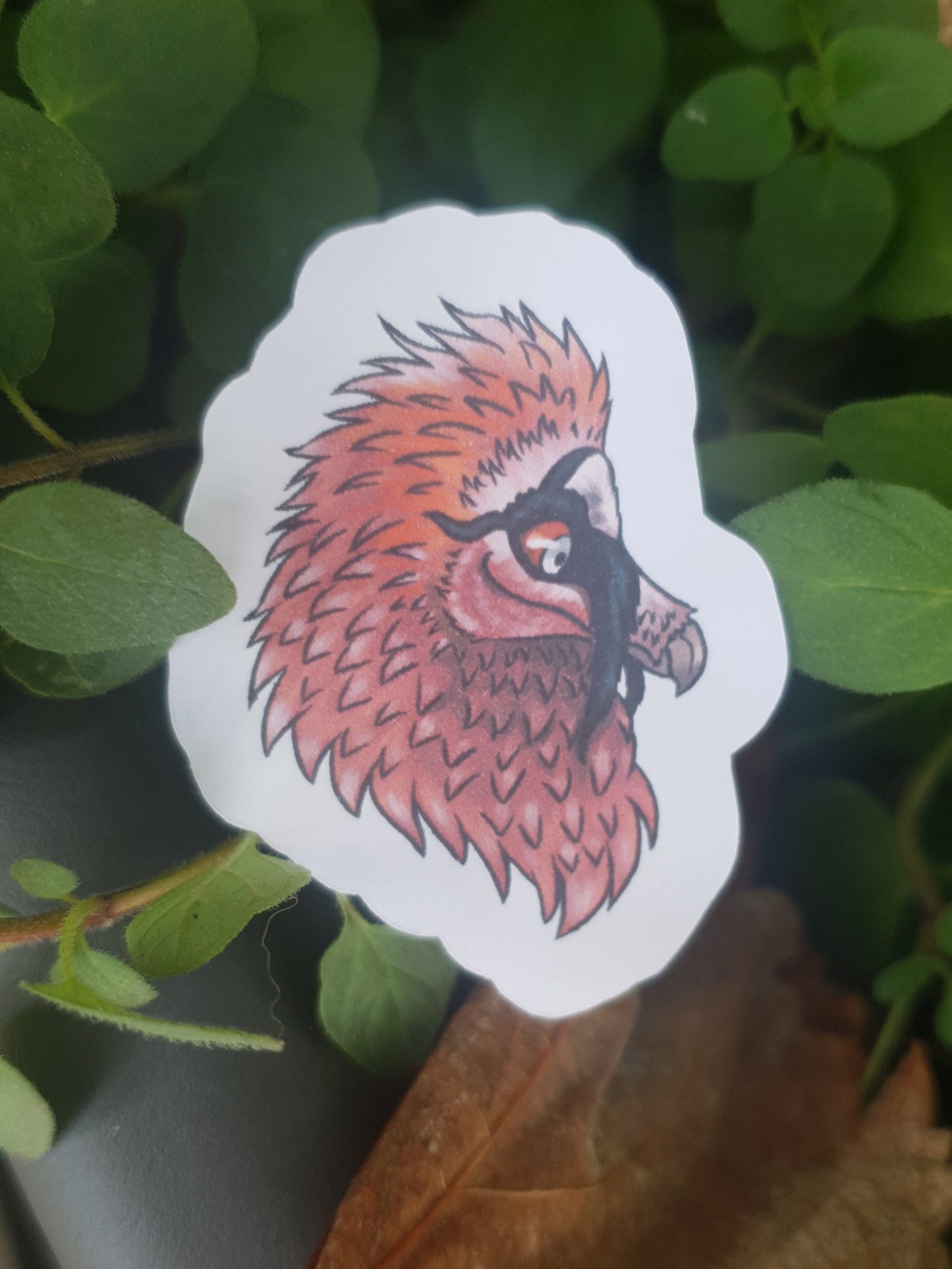 Bearded Vulture Head sticker