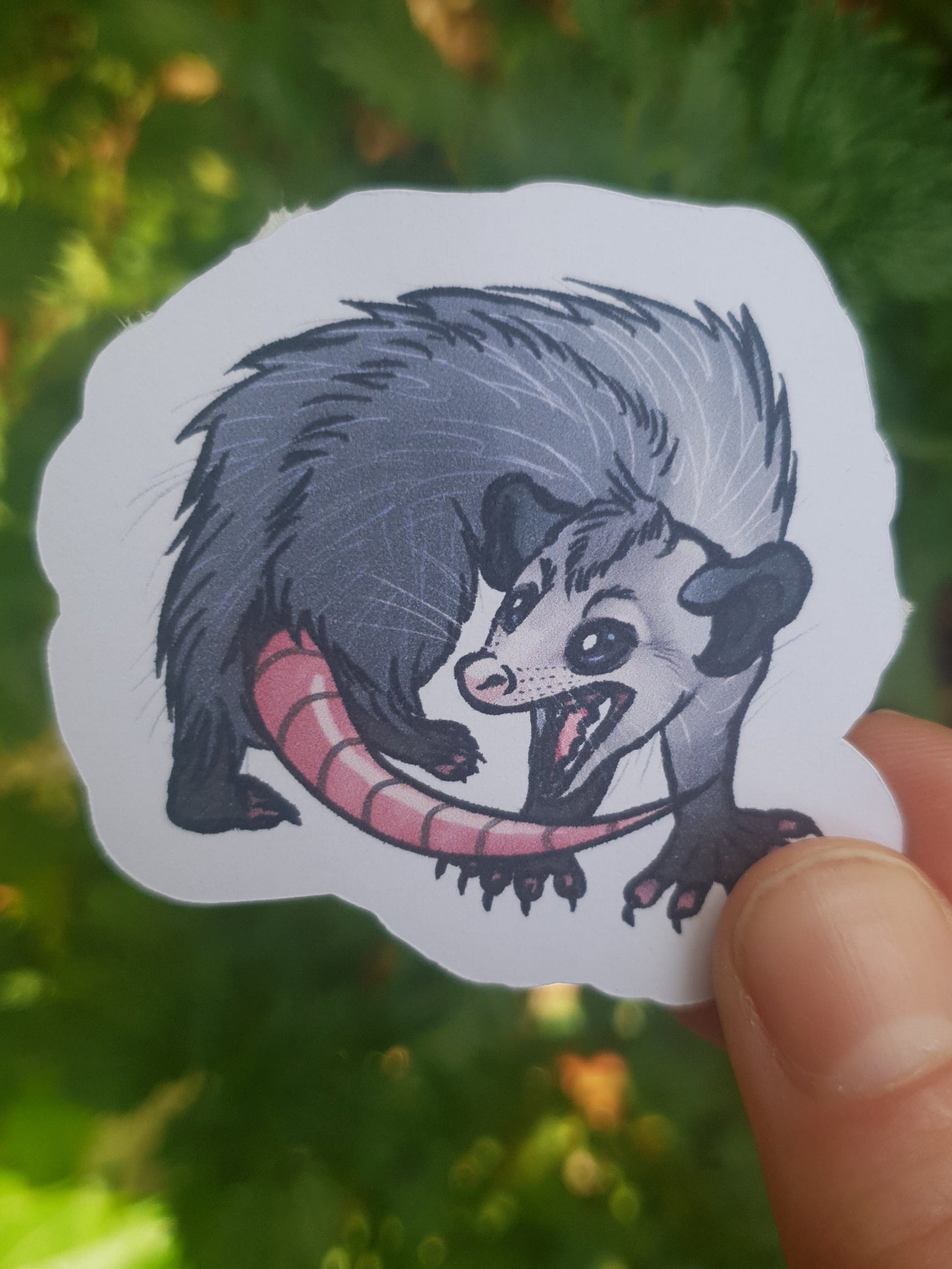 Screaming Possum sticker