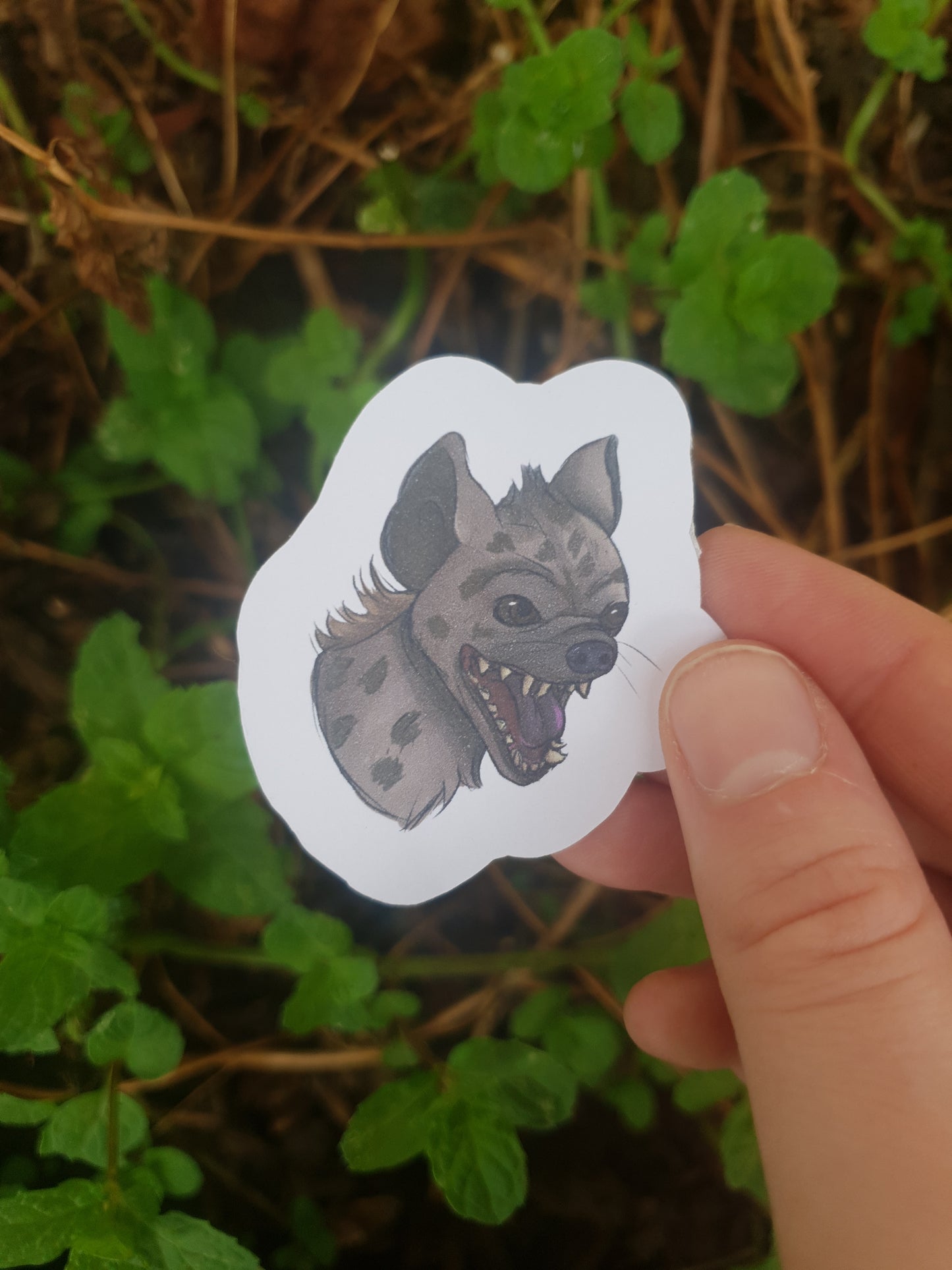 Hyena Head sticker