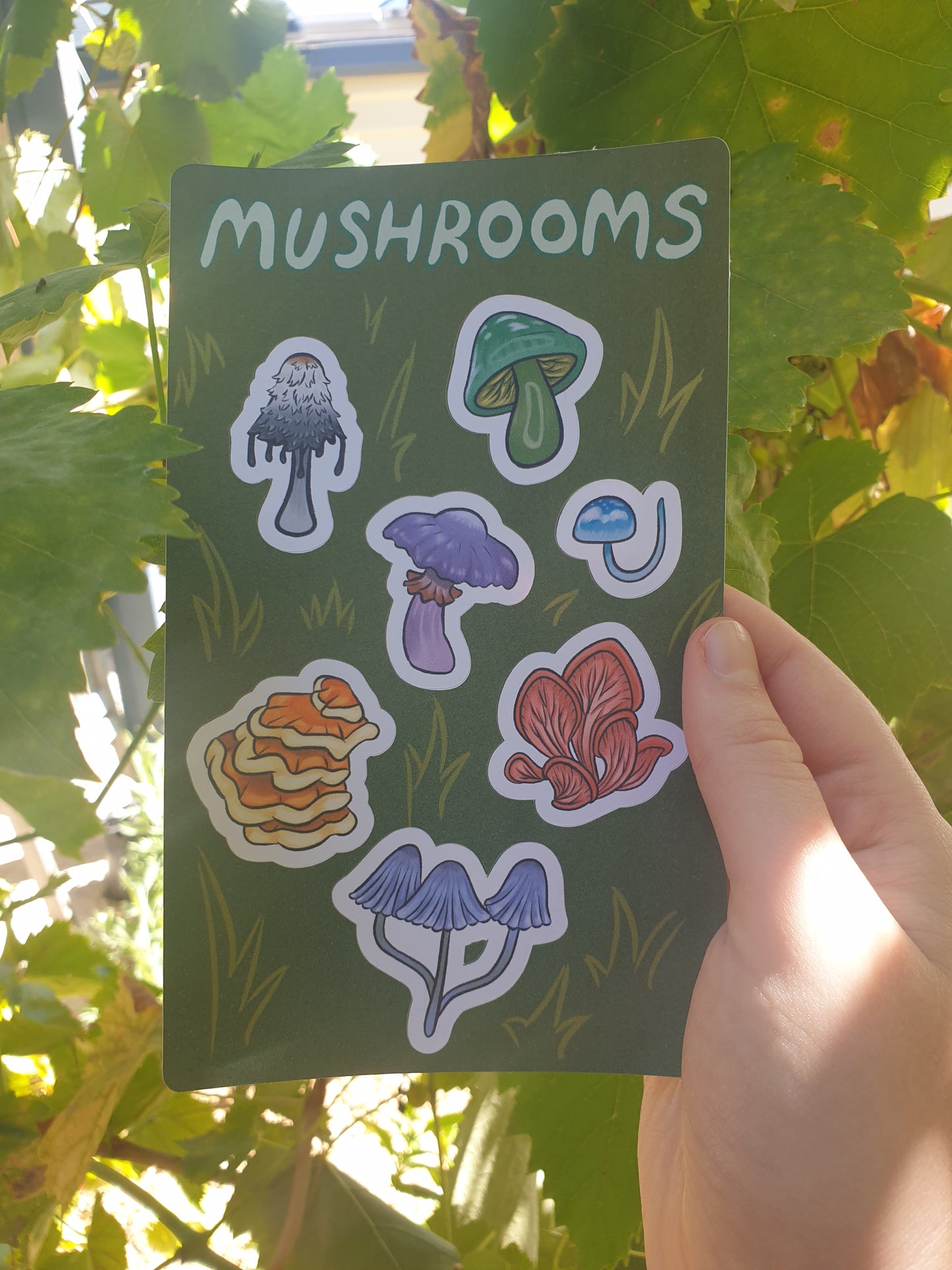 Mushroom sticker sheet