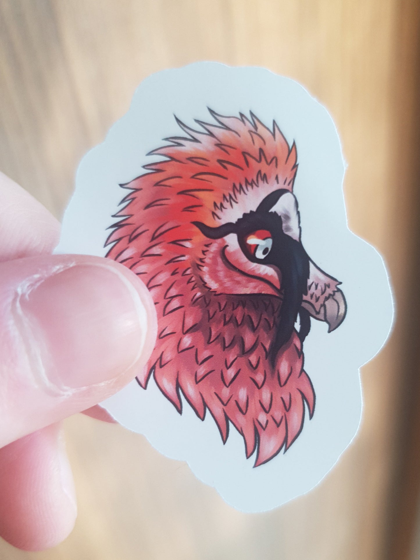 Bearded Vulture Head sticker