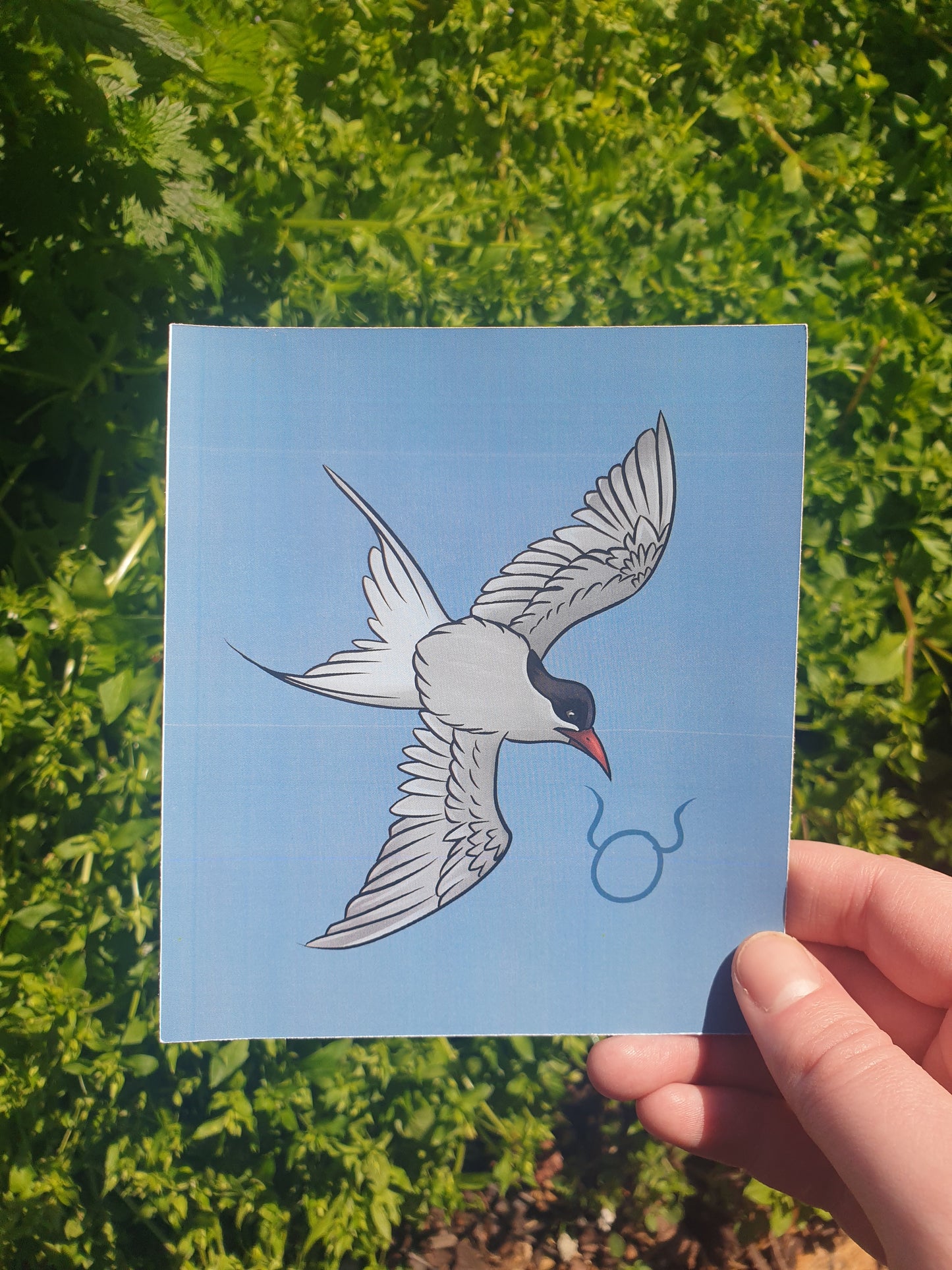 Zodiac Birds mini prints