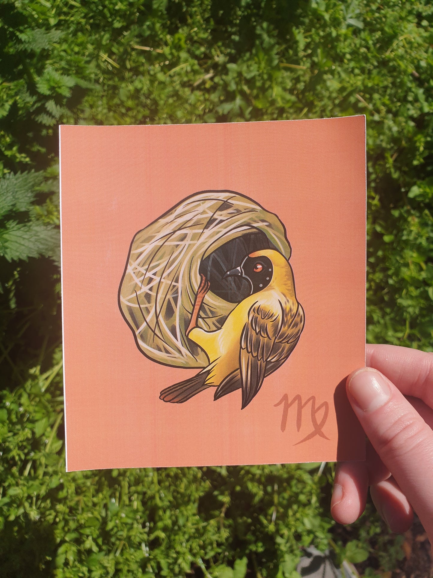 Zodiac Birds mini prints