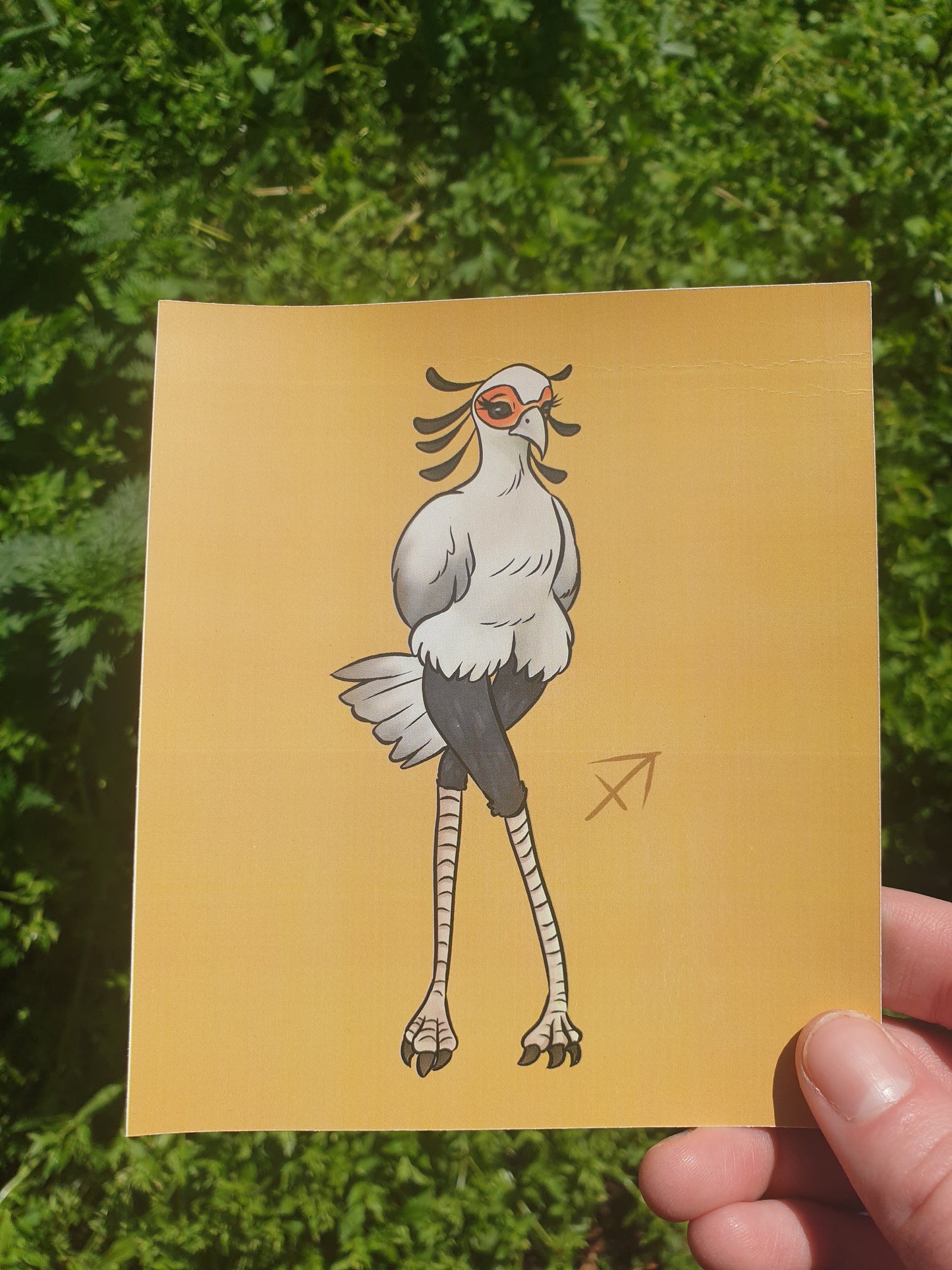 Zodiac Birds mini prints