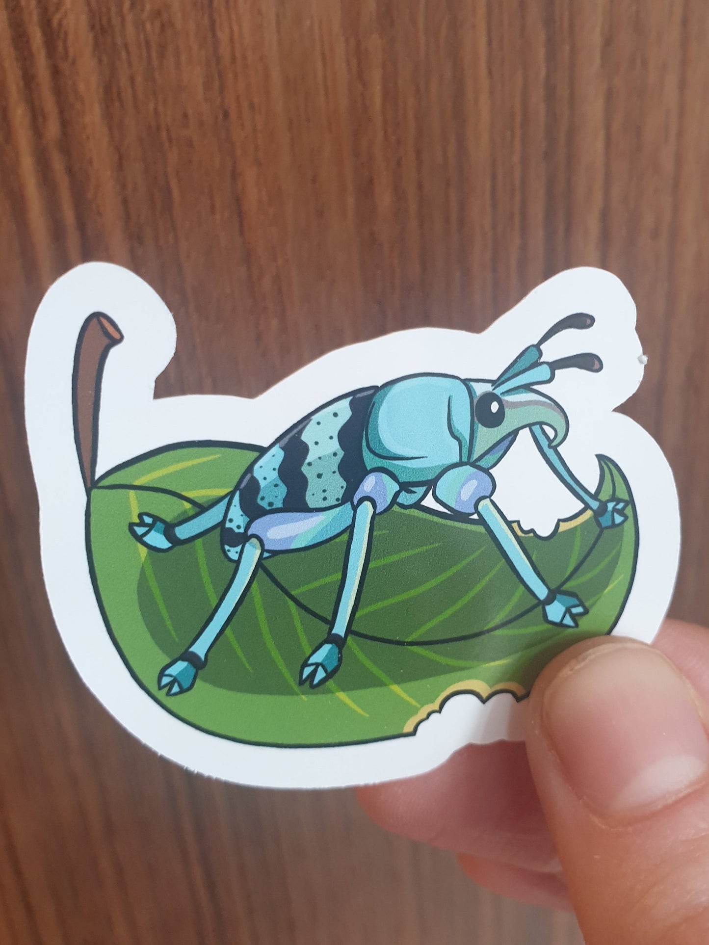 Blue Weevil sticker - Chronically Crafting