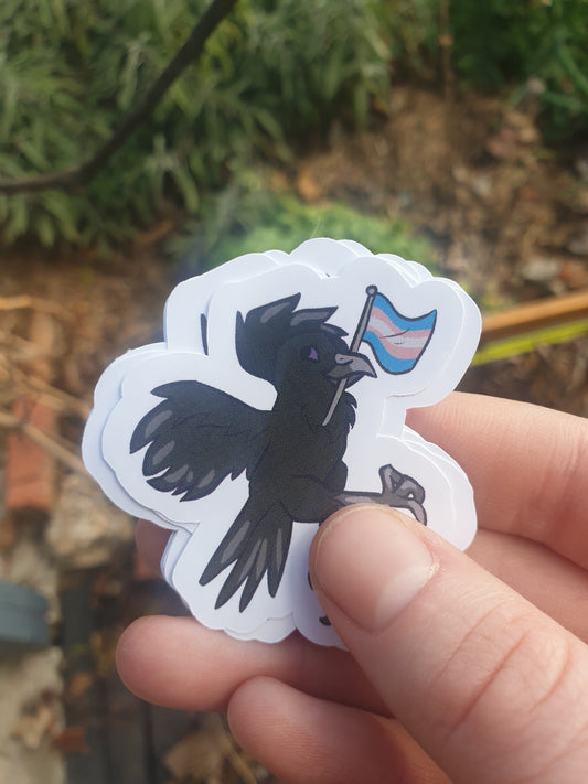 Pride Flag Raven Stickers (bi, trans, nonbinary, pan) - Chronically Crafting
