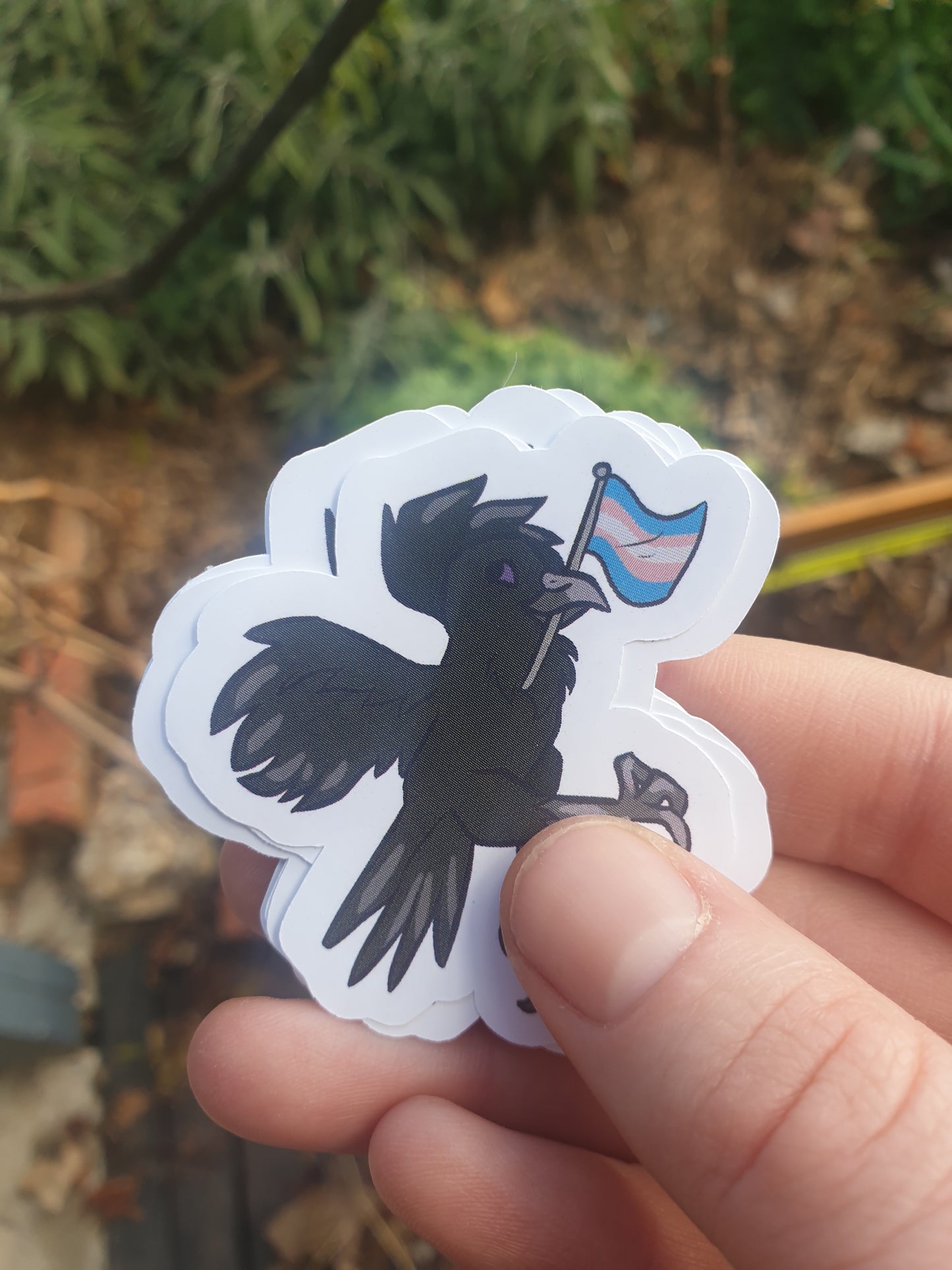 Pride Flag Raven Stickers (bi, trans, nonbinary, pan)
