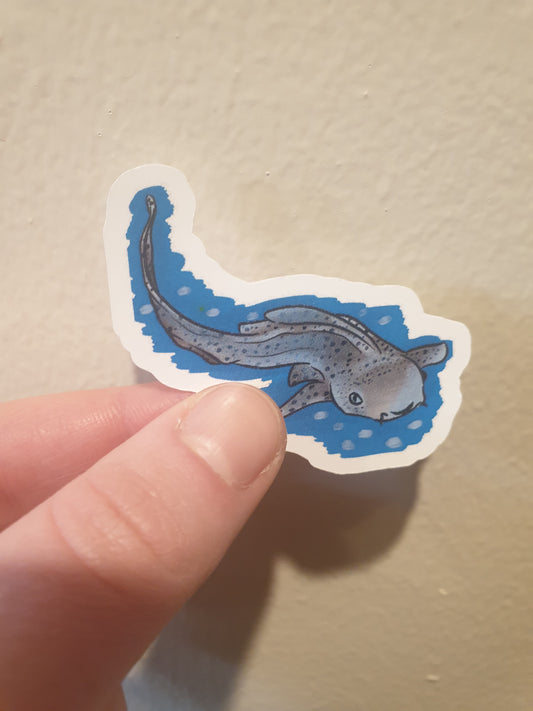 Leopard Shark sticker