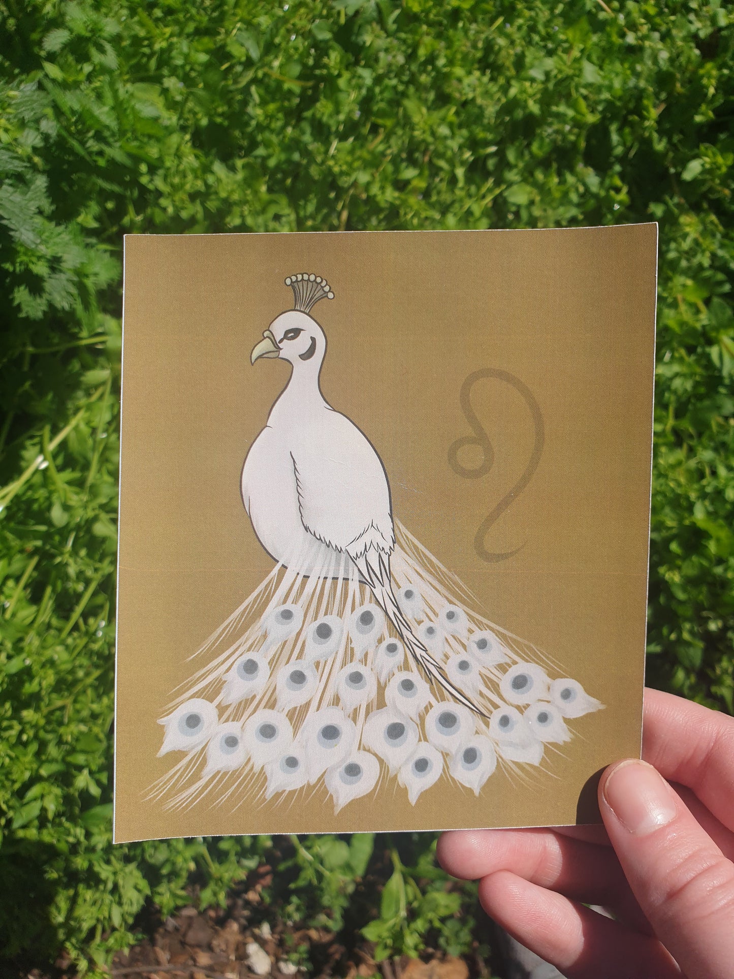 Zodiac Birds mini prints