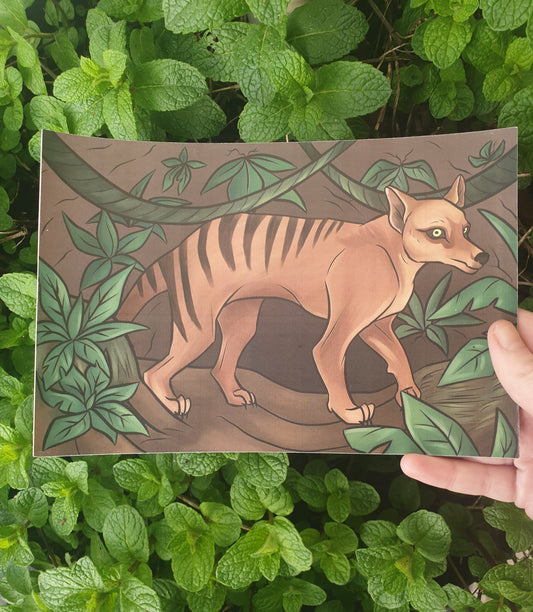 Thylacine Art Print