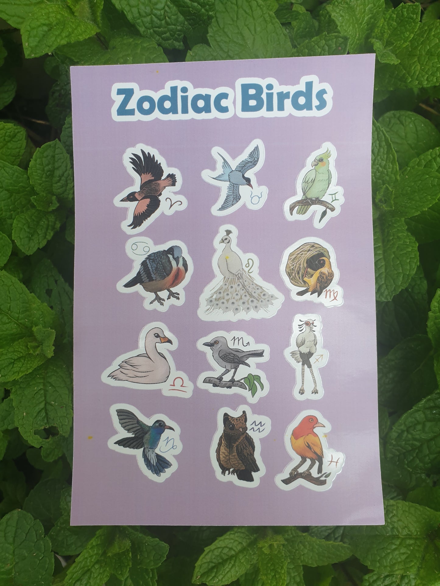 Zodiac Birds Sticker Sheet