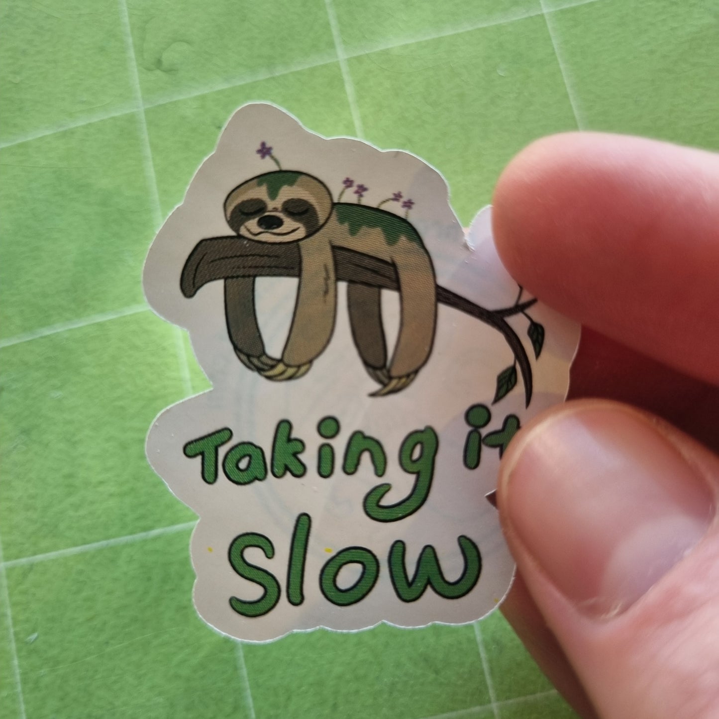 Taking it Slow | Sloth Sticker