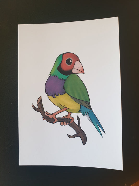 Gouldian Finch greeting card - Chronically Crafting