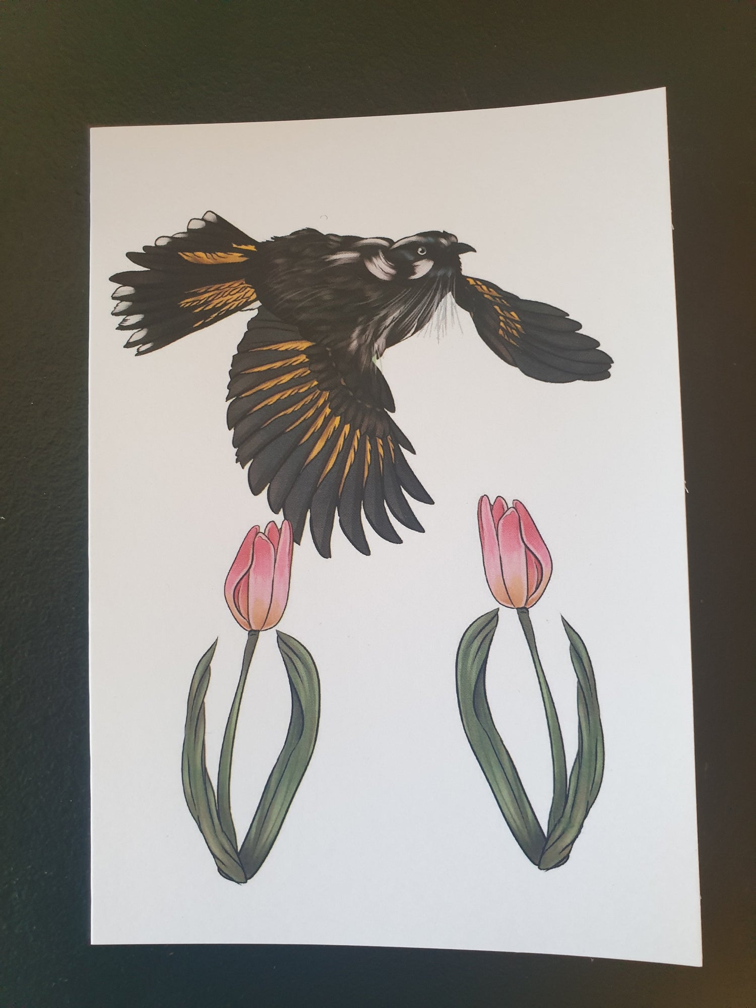New Holland Honeyeater + Tulips greeting card - Chronically Crafting
