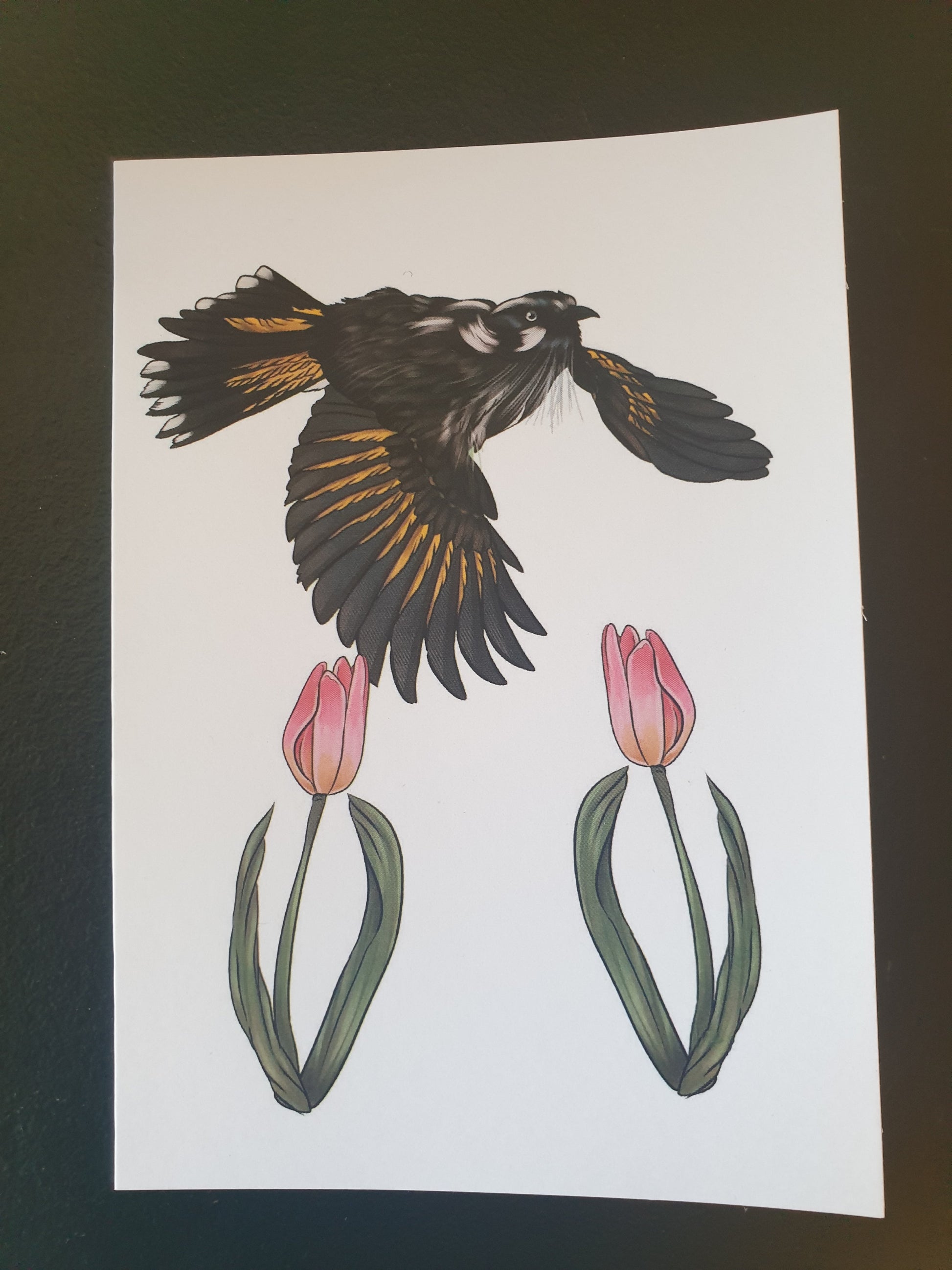 New Holland Honeyeater + Tulips greeting card - Chronically Crafting