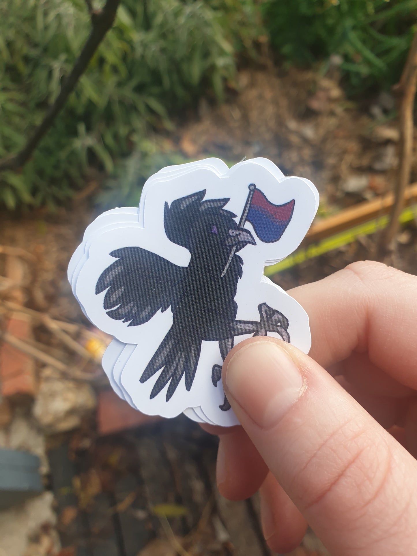 Pride Flag Raven Stickers (bi, trans, nonbinary, pan) - Chronically Crafting