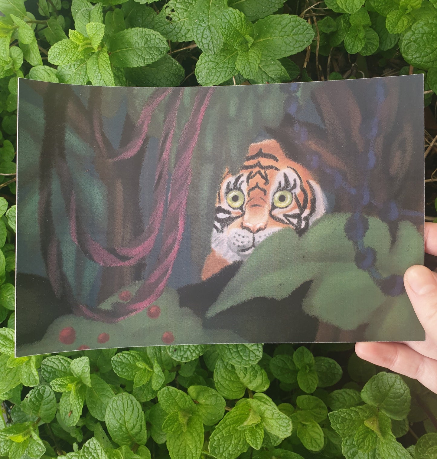 Tiger, Tiger print - Chronically Crafting