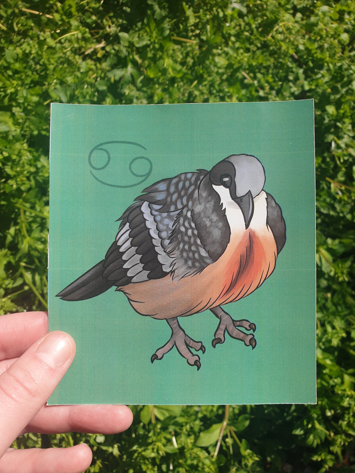 Zodiac Sign Birds mini prints - Chronically Crafting