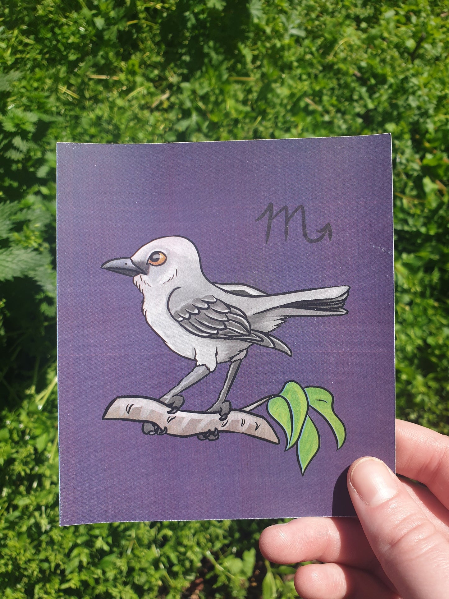 Zodiac Sign Birds mini prints - Chronically Crafting