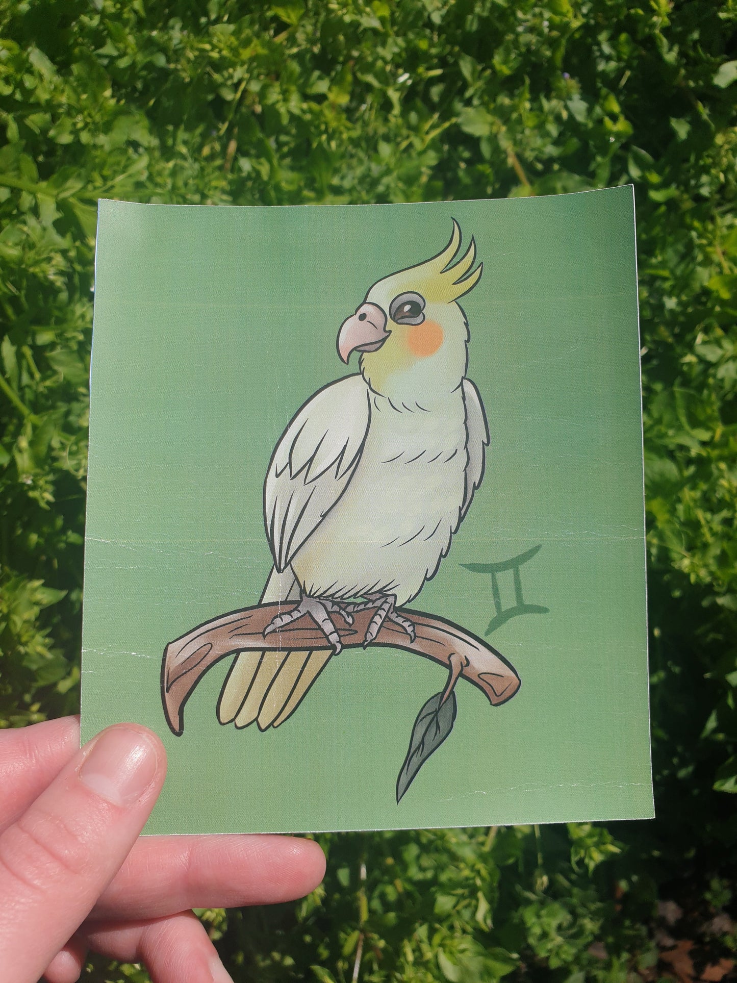 Zodiac Sign Birds mini prints - Chronically Crafting